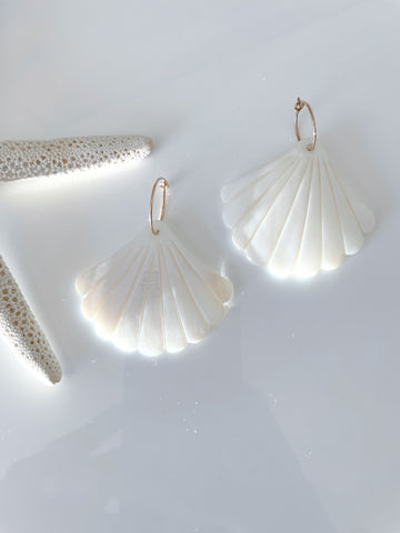 Shell Earrings