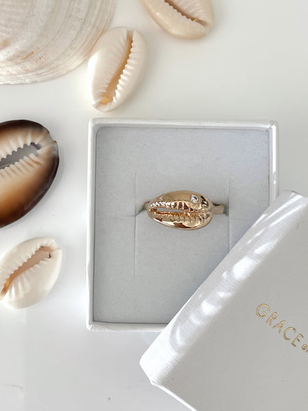 Cowrie ring