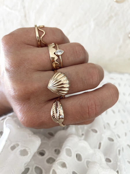 Cowrie ring